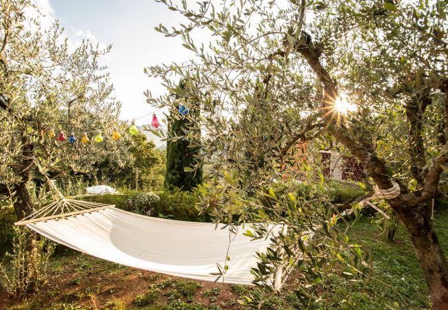 Appartamento a Borgo a Mozzano - Casetta di Butia, Gelsomino apartment with pool Appartamento a Borgo a Mozzano - Casetta di Butia, Gelsomino apartment with pool