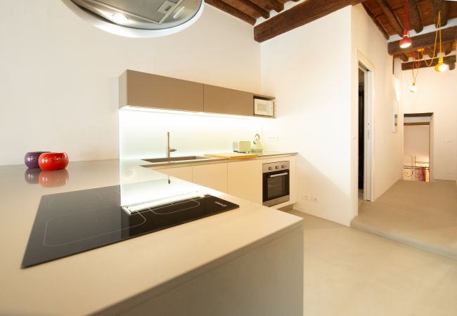 Appartamento a Lucca - La Corticella Luxury Apartment with Terrace Appartamento a Lucca - La Corticella Luxury Apartment with Terrace