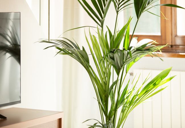 Appartamento a Lucca - La Corticella Luxury Apartment with Terrace Appartamento a Lucca - La Corticella Luxury Apartment with Terrace