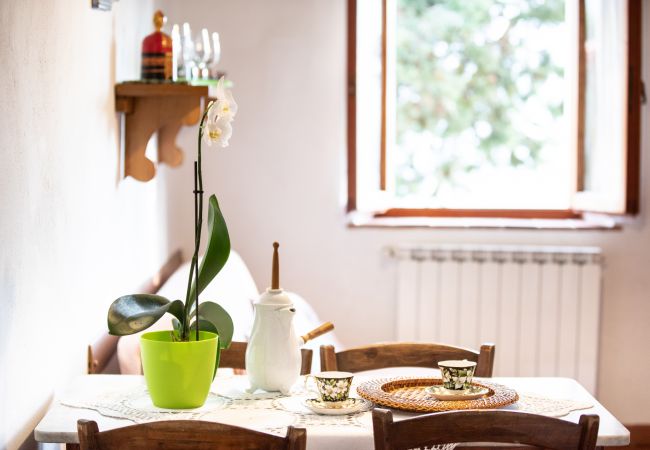 Appartamento a Borgo a Mozzano - Casetta di Butia, Iris apartment with  pool Appartamento a Borgo a Mozzano - Casetta di Butia, Iris apartment with  pool