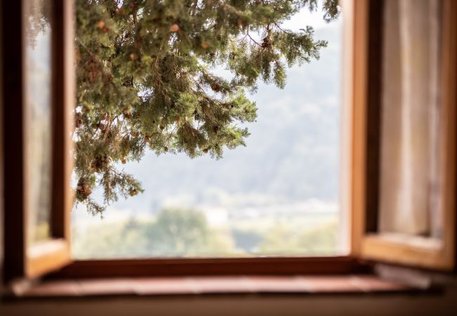 Appartamento a Borgo a Mozzano - Casetta di Butia, Iris apartment with  pool Appartamento a Borgo a Mozzano - Casetta di Butia, Iris apartment with  pool