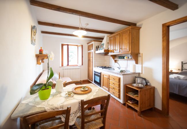 Appartamento a Borgo a Mozzano - Casetta di Butia, Iris apartment with  pool Appartamento a Borgo a Mozzano - Casetta di Butia, Iris apartment with  pool