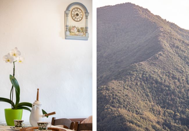 Appartamento a Borgo a Mozzano - Casetta di Butia, Iris apartment with  pool Appartamento a Borgo a Mozzano - Casetta di Butia, Iris apartment with  pool