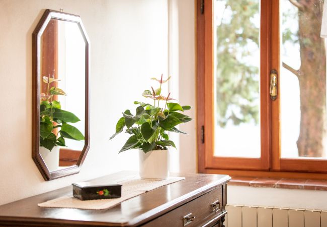 Appartamento a Borgo a Mozzano - Casetta di Butia, Iris apartment with  pool Appartamento a Borgo a Mozzano - Casetta di Butia, Iris apartment with  pool