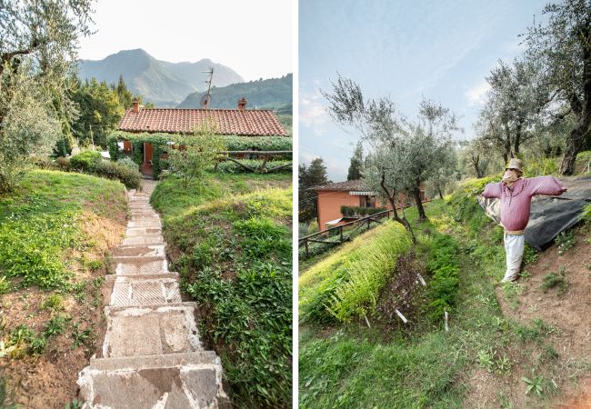Appartamento a Borgo a Mozzano - Casetta di Butia, Iris apartment with  pool Appartamento a Borgo a Mozzano - Casetta di Butia, Iris apartment with  pool