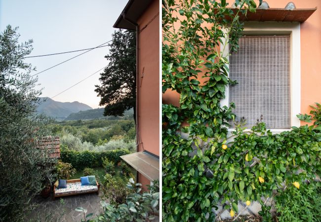 Appartamento a Borgo a Mozzano - Casetta di Butia, Iris apartment with  pool Appartamento a Borgo a Mozzano - Casetta di Butia, Iris apartment with  pool