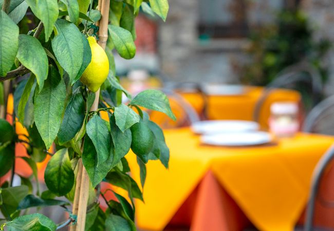 Appartamento a Borgo a Mozzano - Casetta di Butia, Iris apartment with  pool Appartamento a Borgo a Mozzano - Casetta di Butia, Iris apartment with  pool