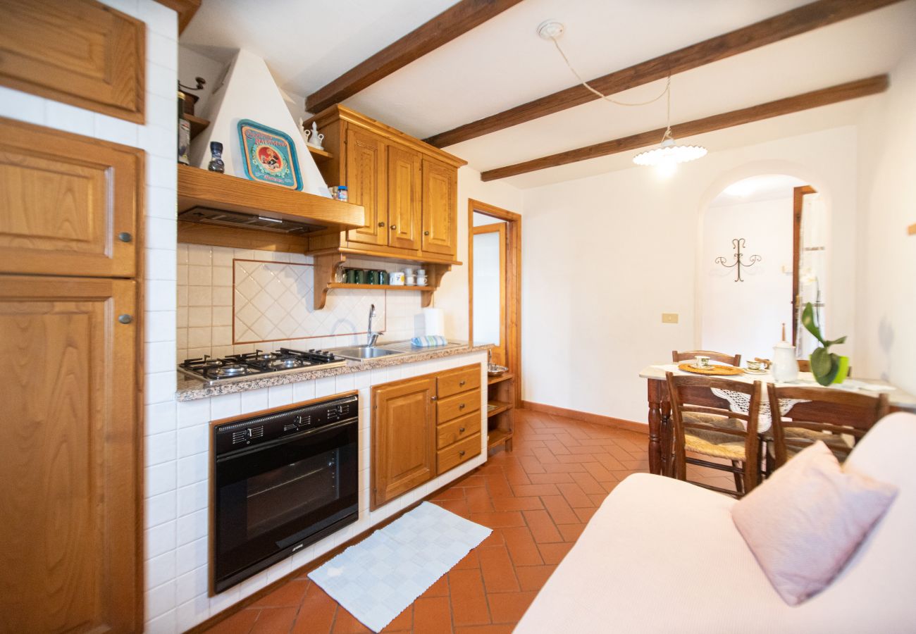 Appartamento a Borgo a Mozzano - Casetta di Butia, Iris apartment with  pool