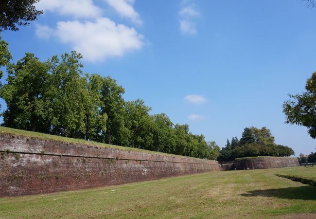 Appartamento a Lucca - Il Chiassetto Cozy Apartment in Center town Appartamento a Lucca - Il Chiassetto Cozy Apartment in Center town