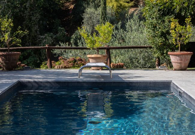 Villa a Capannori - Villa Iris with Swimming Pool Villa a Capannori - Villa Iris with Swimming Pool