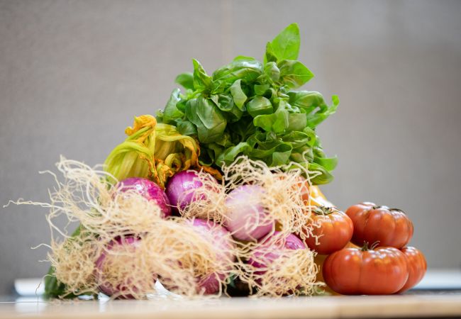 Appartamento a Lucca - Golden House in Center Town by Abita Appartamento a Lucca - Golden House in Center Town by Abita