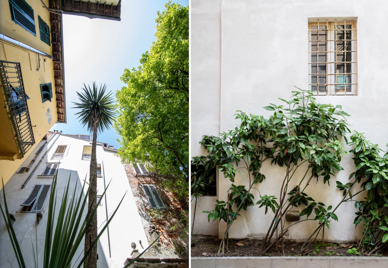 Appartamento a Lucca - Casa gilda with Terrace