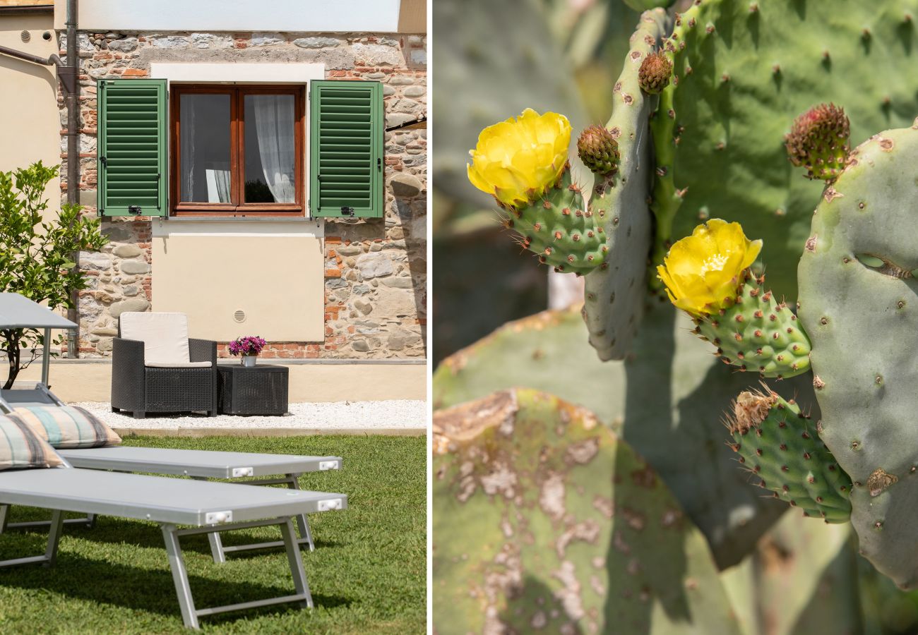 Casa a Capannori - Casa I Tre Cipressi with Swimming Pool