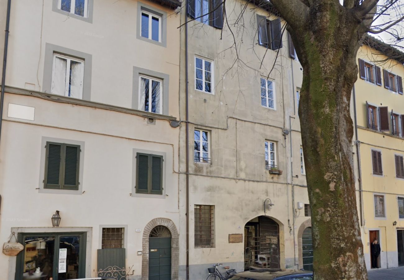 Appartamento a Lucca - Casa Usignolo in Center Town