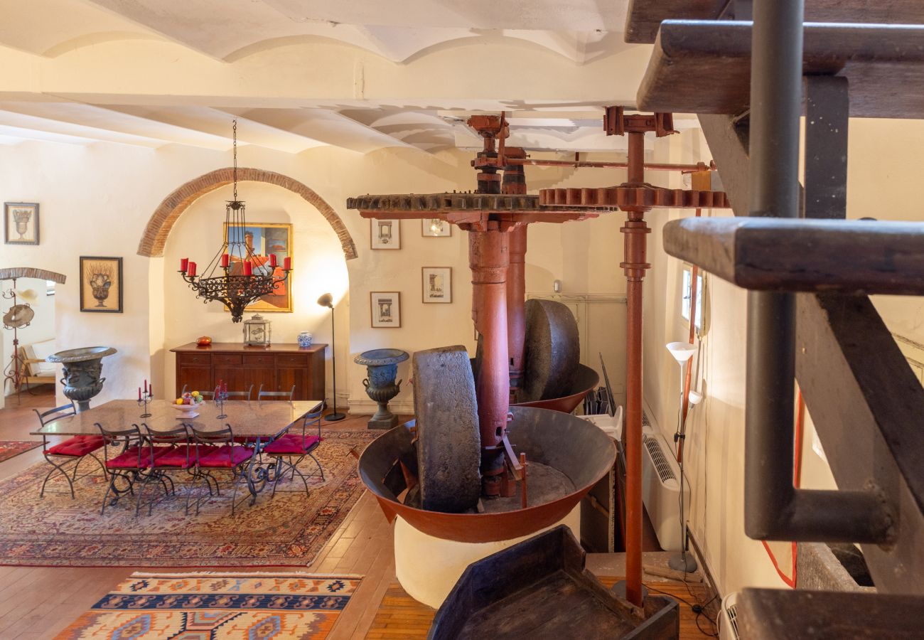 Villa a Capannori - Villa Roocello, charming retreat with pool