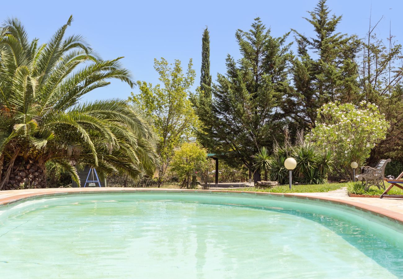 Appartamento a Capannori - Tenuta Gaetano Spadaro, Pendolino Apartment