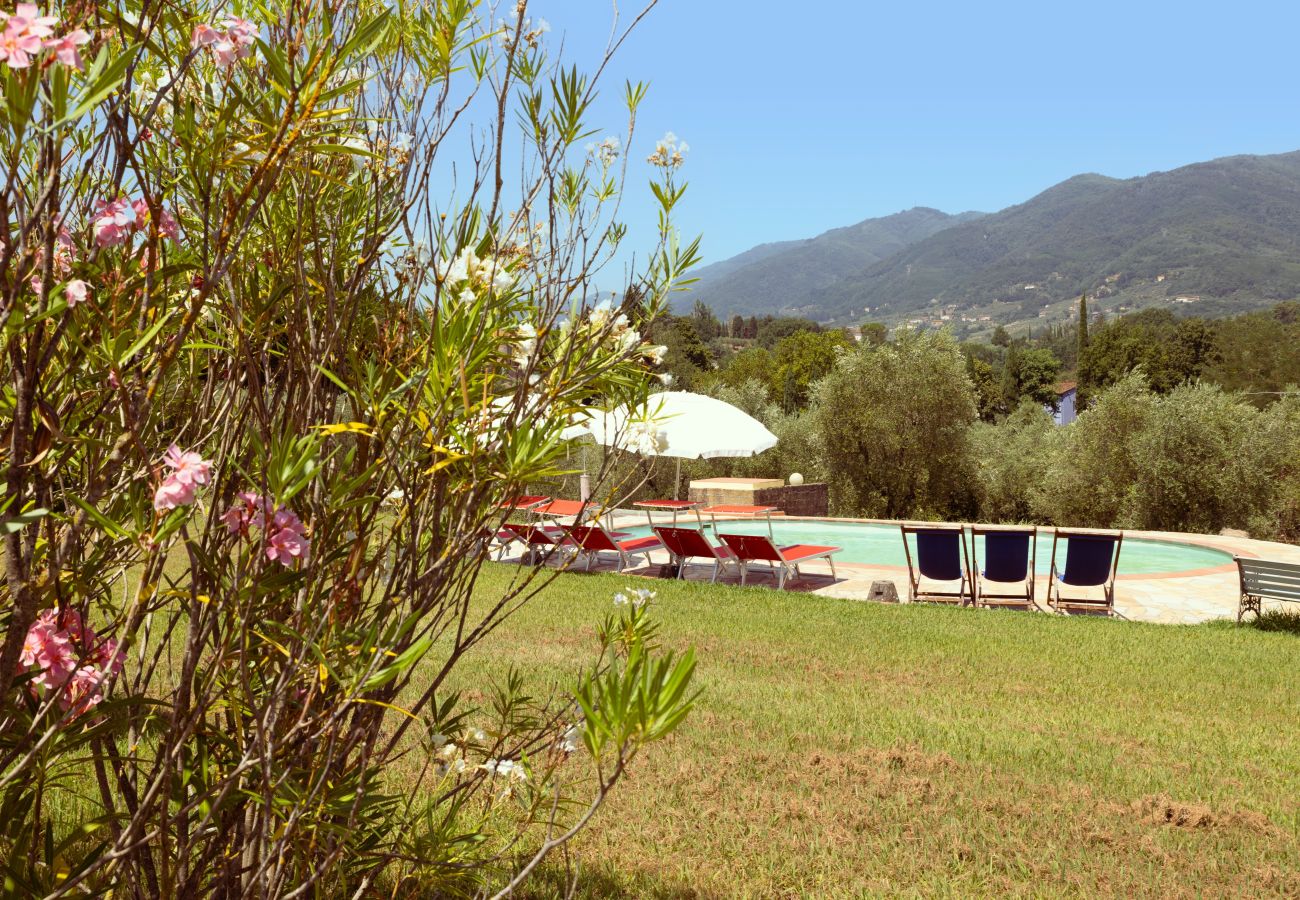 Appartamento a Capannori - Tenuta Gaetano Spadaro, Pendolino Apartment
