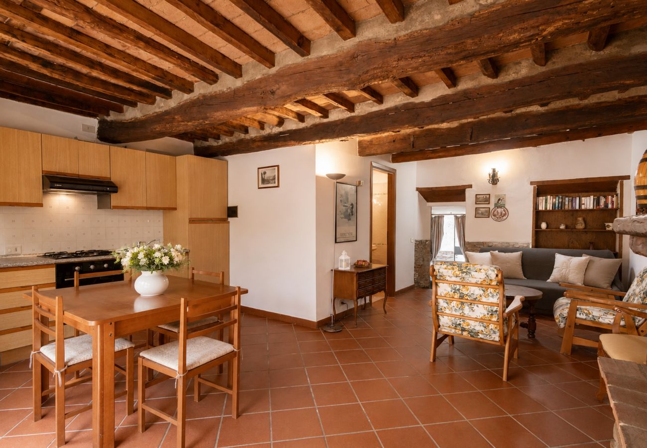 Appartamento a Capannori - Tenuta Gaetano Spadaro, Leccino Apartment