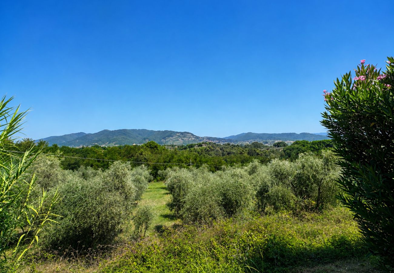 Appartamento a Capannori - Tenuta Gaetano Spadaro, Maurino Apartment