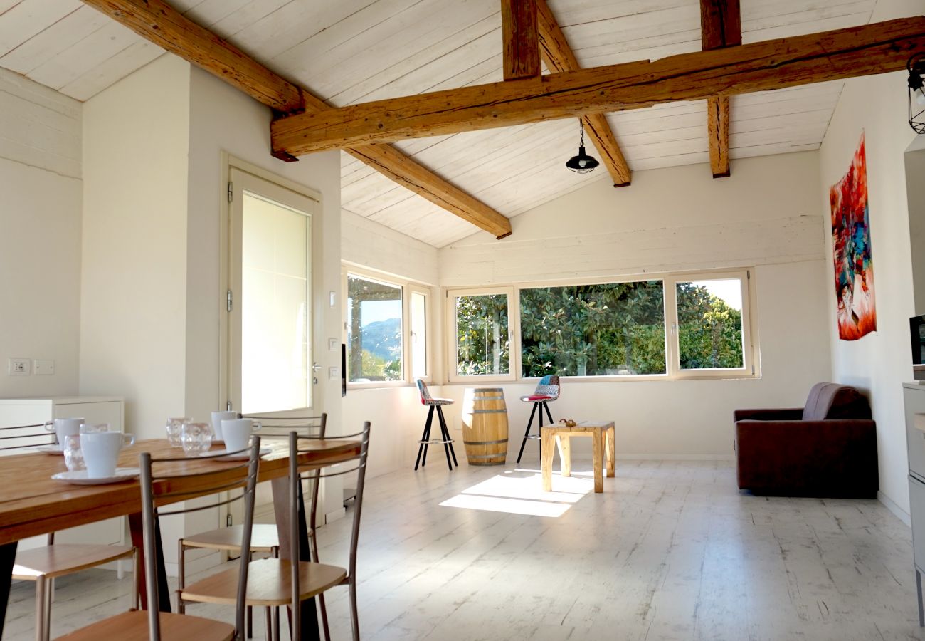 Ferienwohnung in Capannori - Casa Brigante Anna Apartment