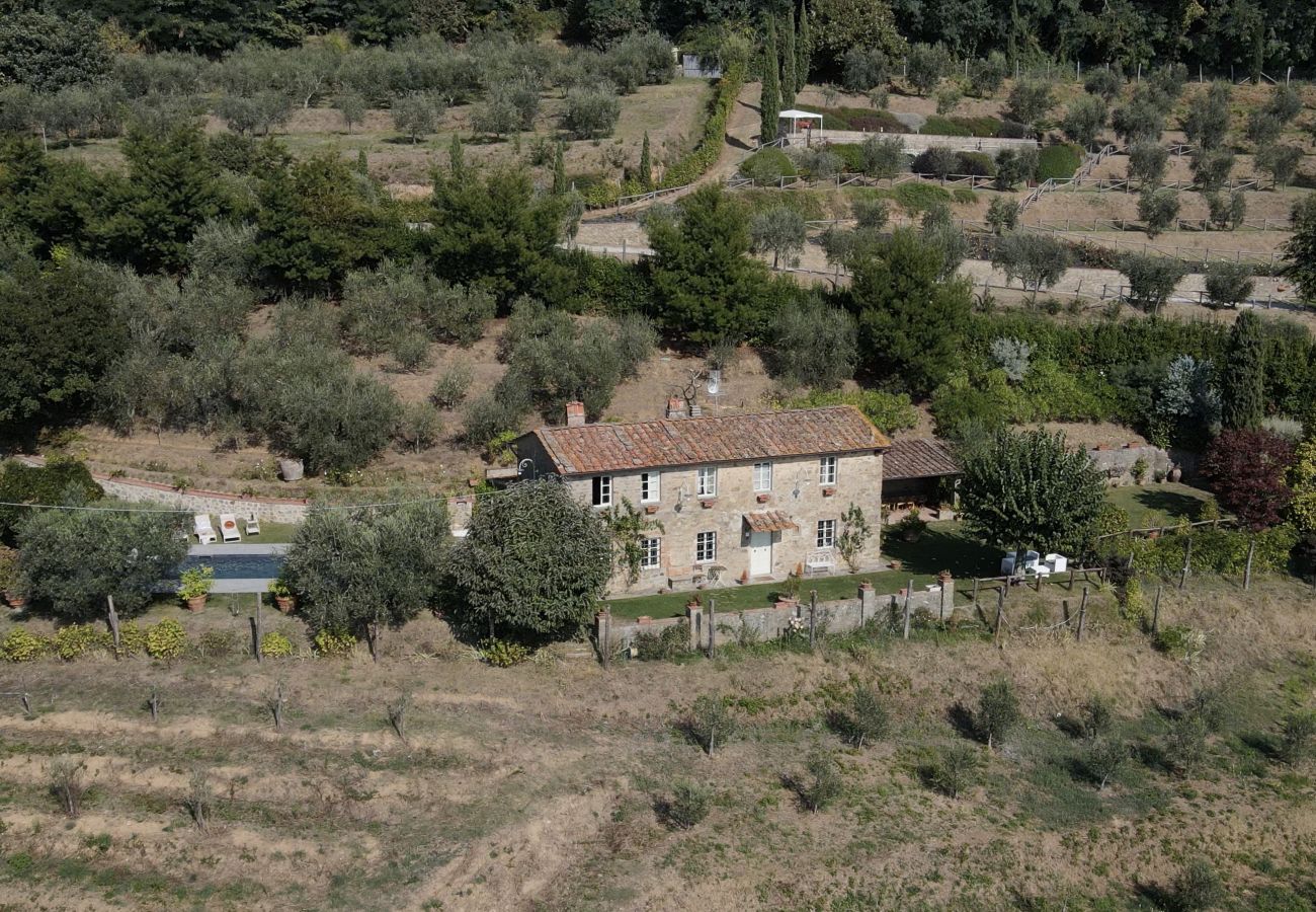 Villa in Capannori - Villa Iris with Swimming Pool