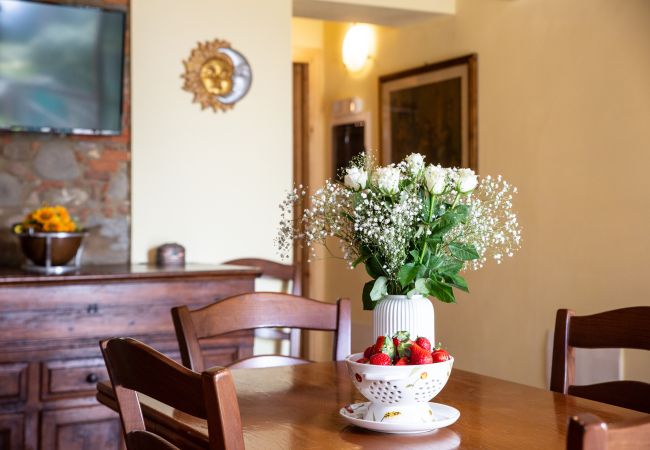 Ferienwohnung in Porcari - Colle Apartment with Swimming Pool Ferienwohnung in Porcari - Colle Apartment with Swimming Pool