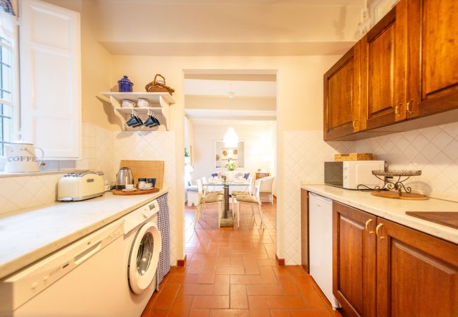 Ferienwohnung in Lucca - Casa Claudette in center town with terrace Ferienwohnung in Lucca - Casa Claudette in center town with terrace