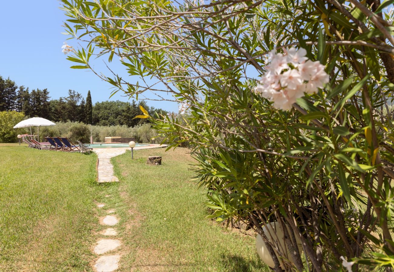 Zimmeranmietung in Capannori - Tenuta Gaetano Spadaro, Camera La Rosa