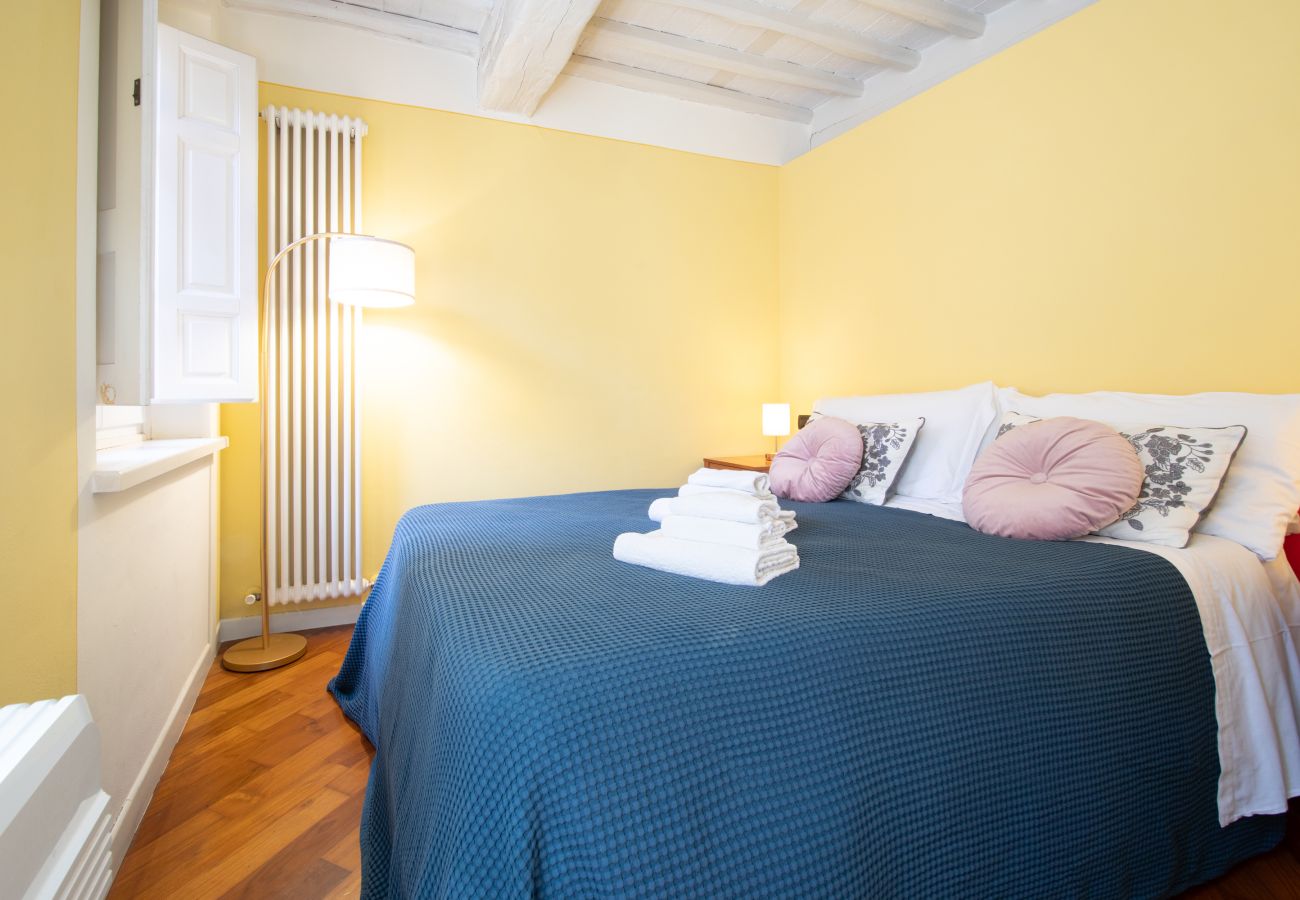 Apartment in Lucca - A Casa di Irene in Center Town