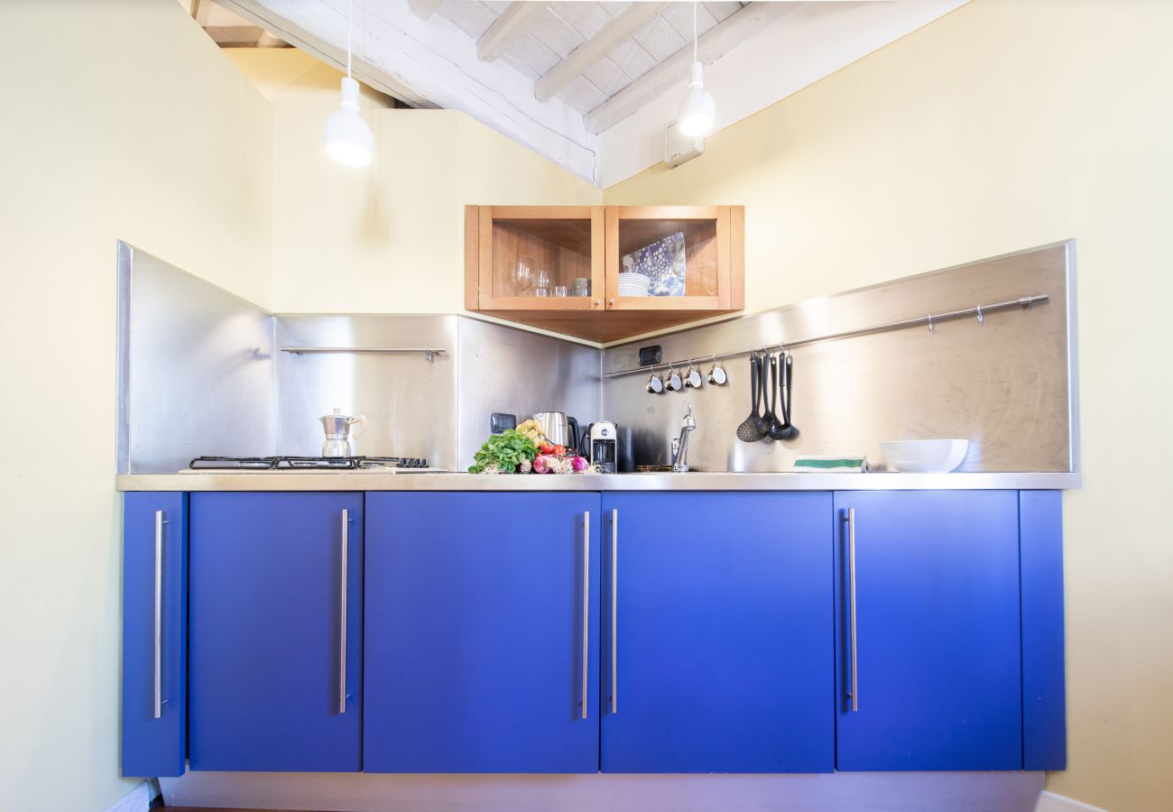 Apartment in Lucca - A Casa di Irene in Center Town