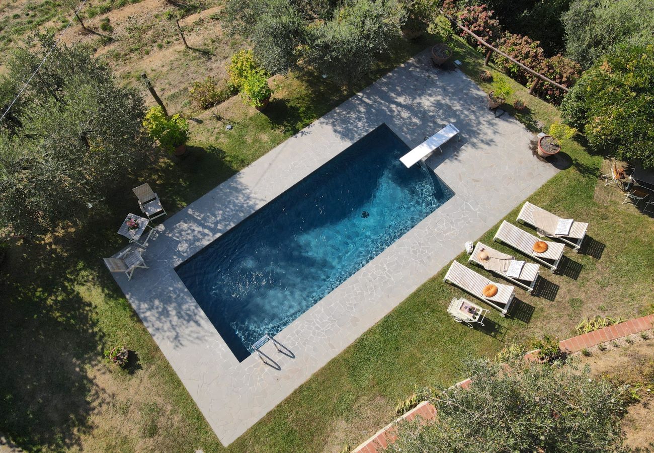 Villa in Capannori - Villa Iris with Swimming Pool