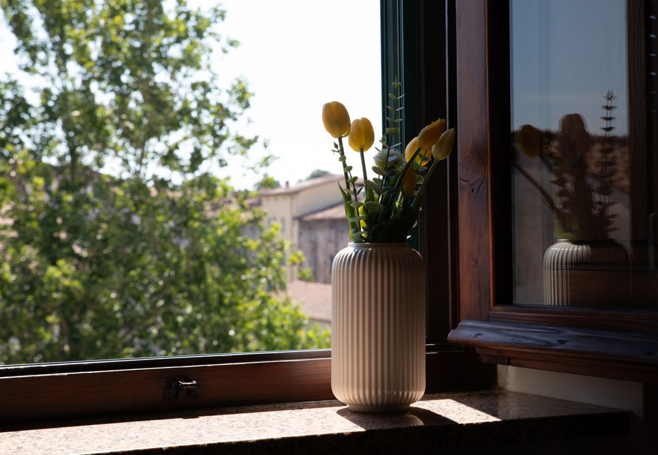 Apartment in Lucca - Casa Usignolo in Center Town