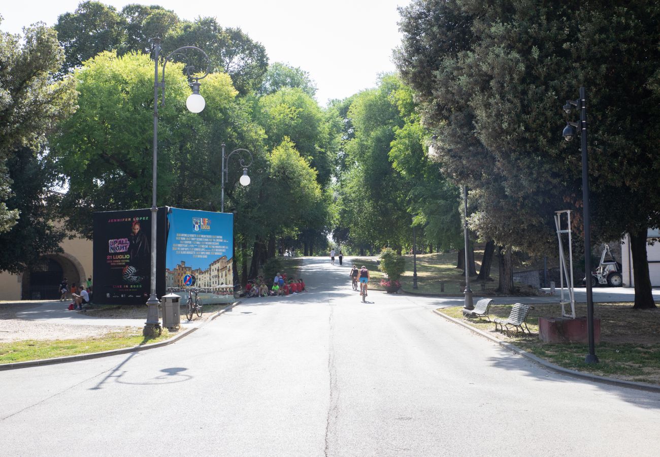 Apartment in Lucca - Pelleria 32, in Center Town by Abita Apartment in Lucca - Pelleria 32, in Center Town by Abita