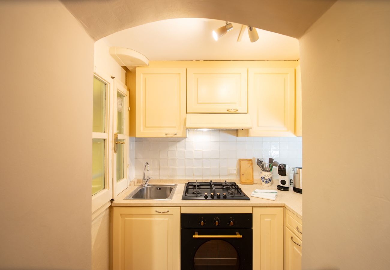 Apartment in Lucca - Pelleria 32, in Center Town by Abita