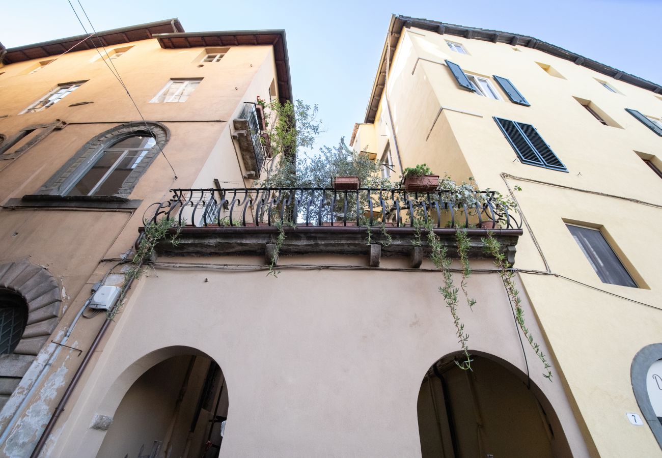 Apartment in Lucca - Dimora del Gallo in Center Town