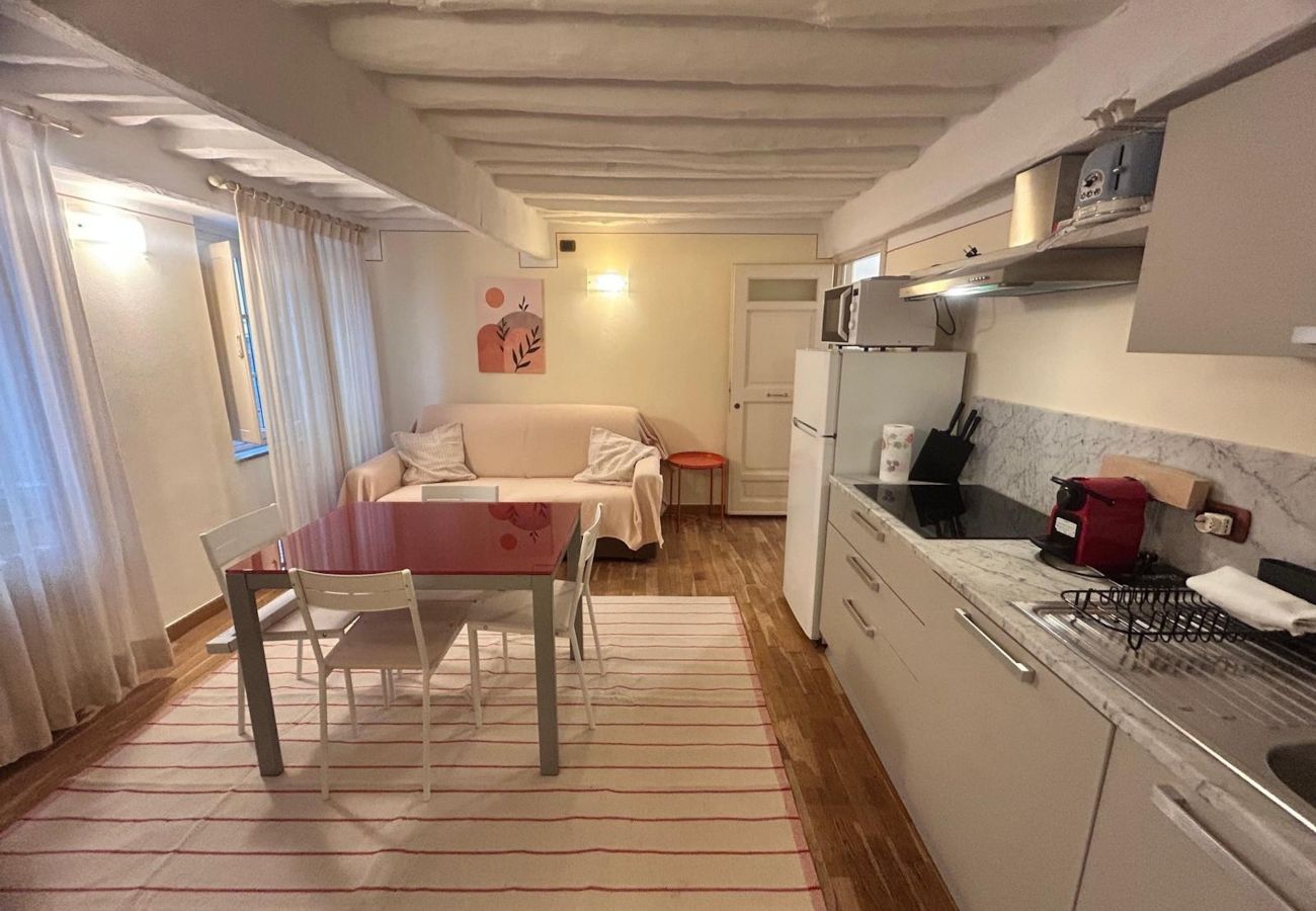 Apartment in Lucca - Palazzo Civetta, Assiolo in Center Town Apartment in Lucca - Palazzo Civetta, Assiolo in Center Town
