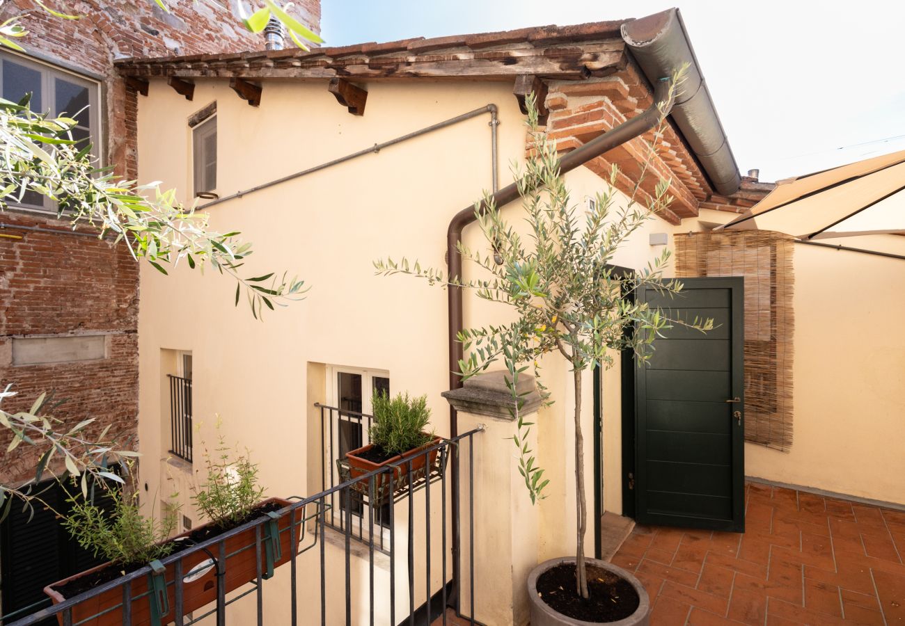 Apartment in Lucca - Arcobaleno Apartment in Center Town with Terrace