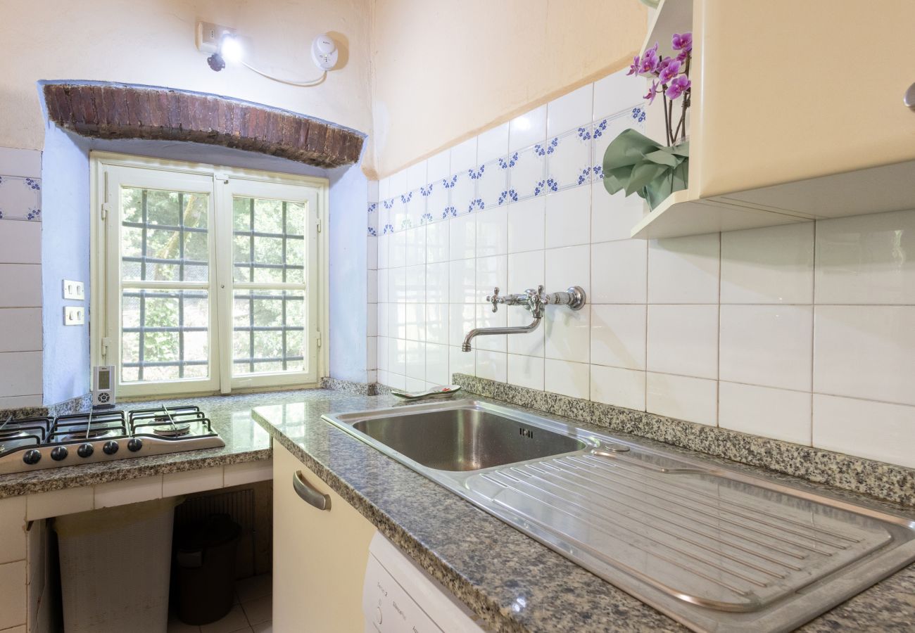 Villa in Capannori - Villa Roocello, charming retreat with pool