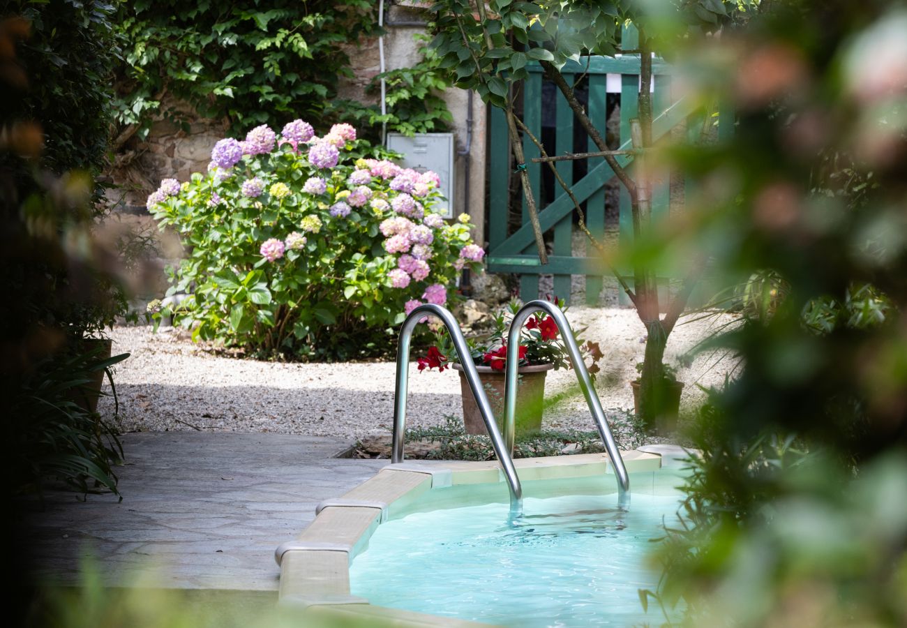 Villa in Capannori - Villa Roocello, charming retreat with pool