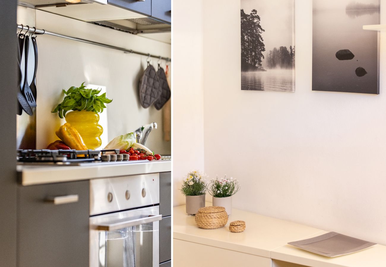 Apartment in Lucca - Divina Terrazza in Center Town
