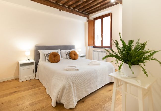 Apartamento en Lucca - Elisabeth Luxury Flat In Center Town Apartamento en Lucca - Elisabeth Luxury Flat In Center Town