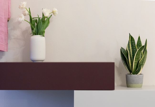 Apartamento en Lucca - Venus Luxury Apartment in Center Town Apartamento en Lucca - Venus Luxury Apartment in Center Town