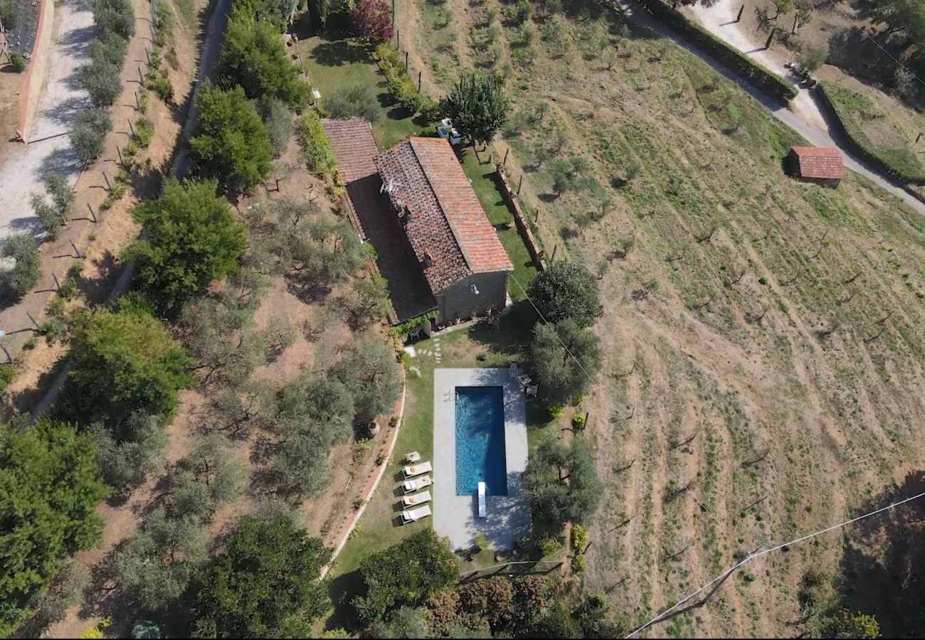 Villa en Capannori - Villa Iris with Swimming Pool