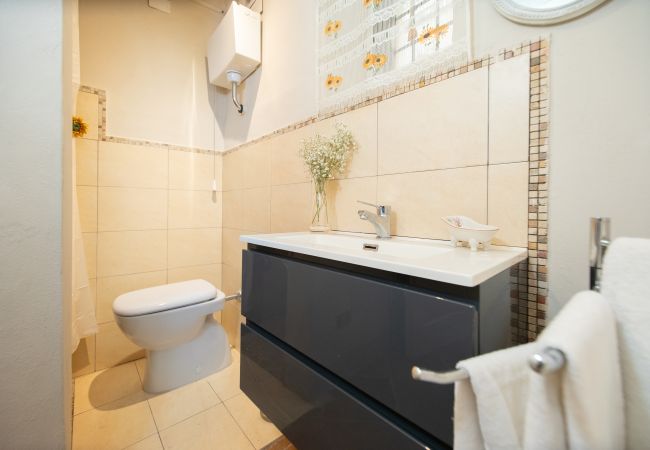 Apartamento en Lucca - Madalina Apartment in Center Town Apartamento en Lucca - Madalina Apartment in Center Town