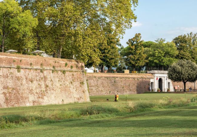 Apartamento en Lucca - Casa Cantore Close to the Walls Apartamento en Lucca - Casa Cantore Close to the Walls