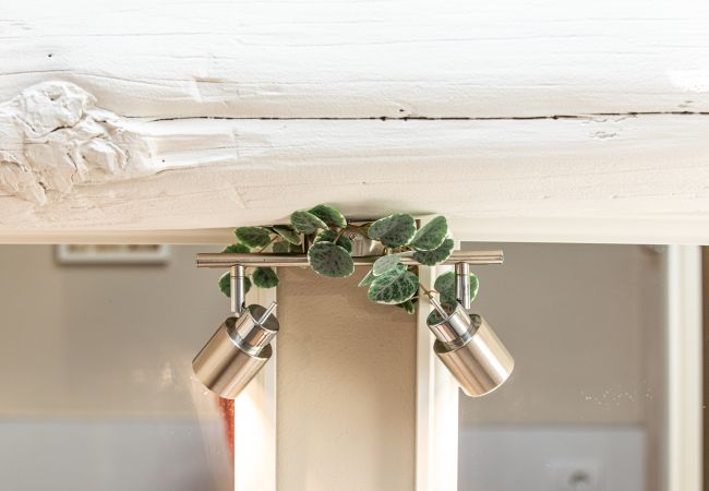 Apartamento en Lucca - Casa Cantore Close to the Walls Apartamento en Lucca - Casa Cantore Close to the Walls