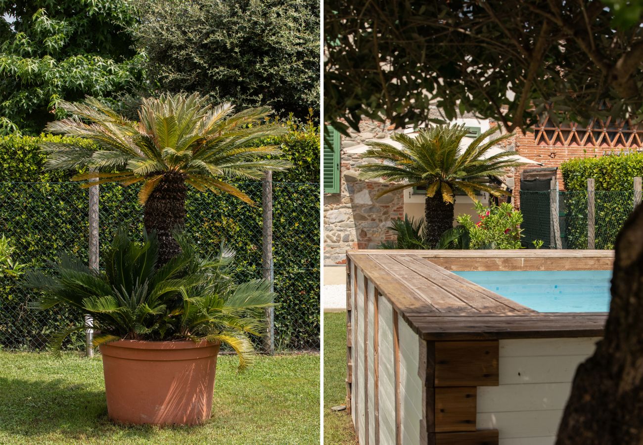 Casa en Capannori - Casa I Tre Cipressi with Swimming Pool