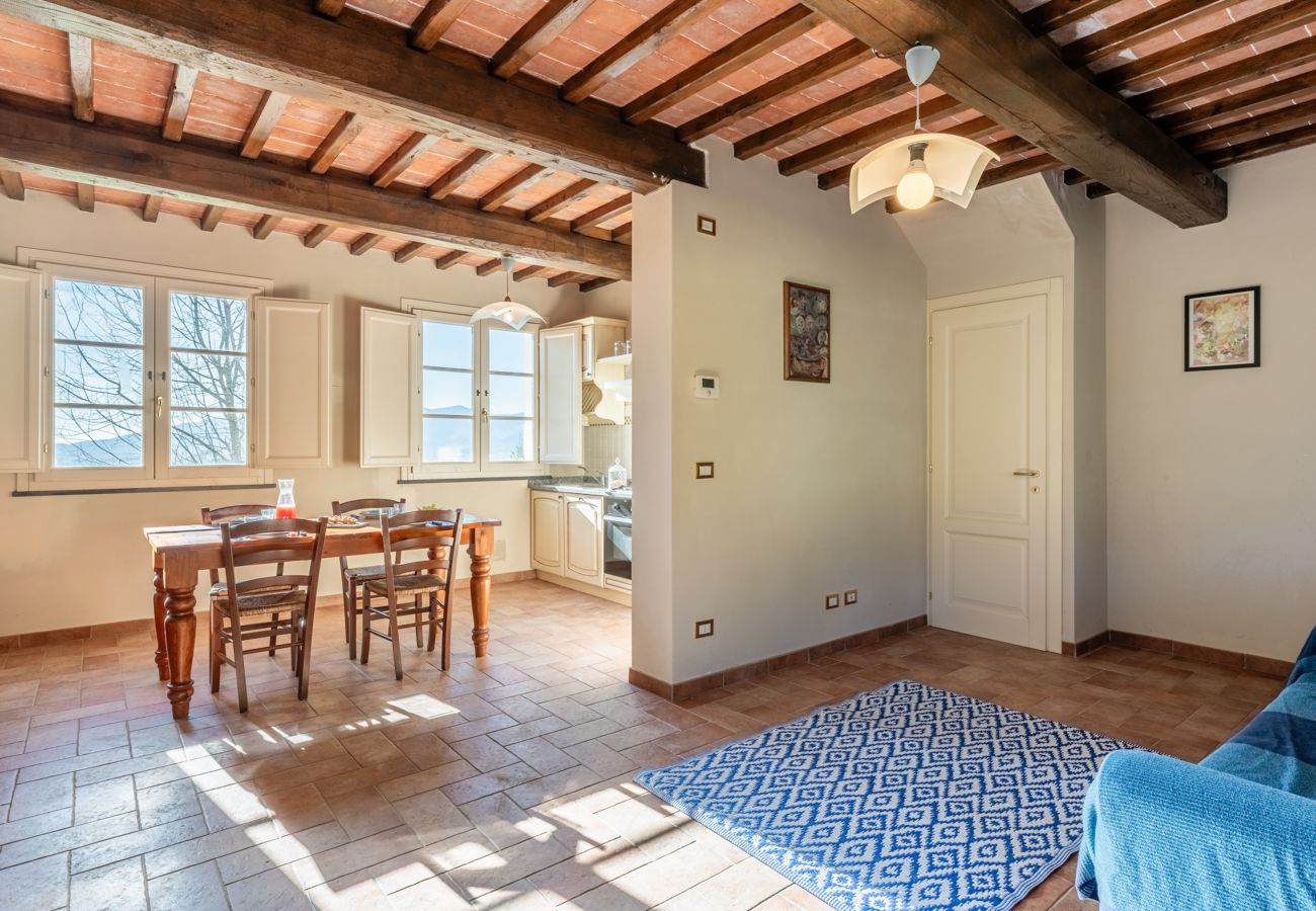 Apartamento en Capannori - Il Melograno Apartment with Swimming Pool