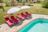 Apartamento en Capannori - Tenuta Gaetano Spadaro, Pendolino Apartment