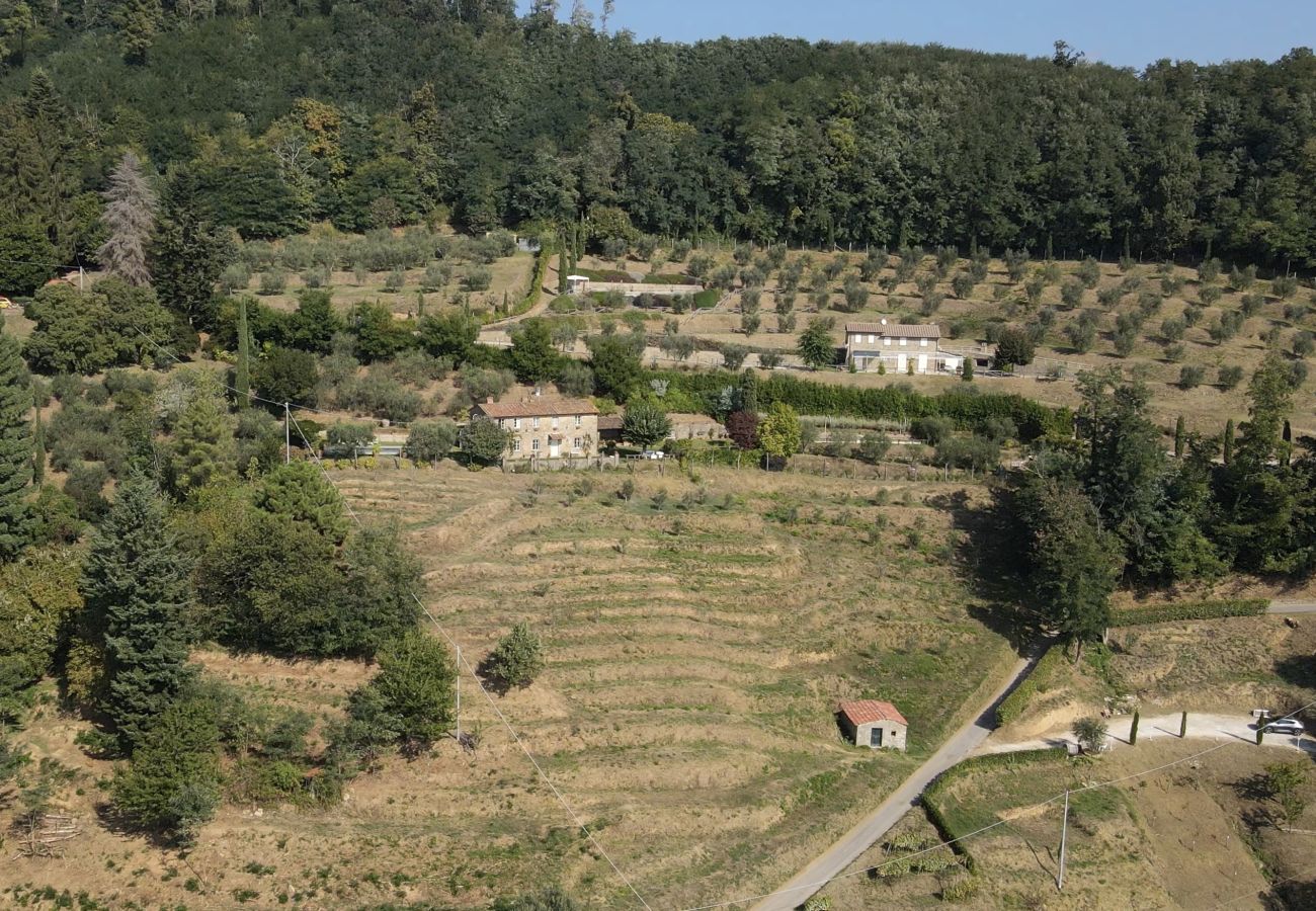 Villa à Capannori - Villa Iris with Swimming Pool